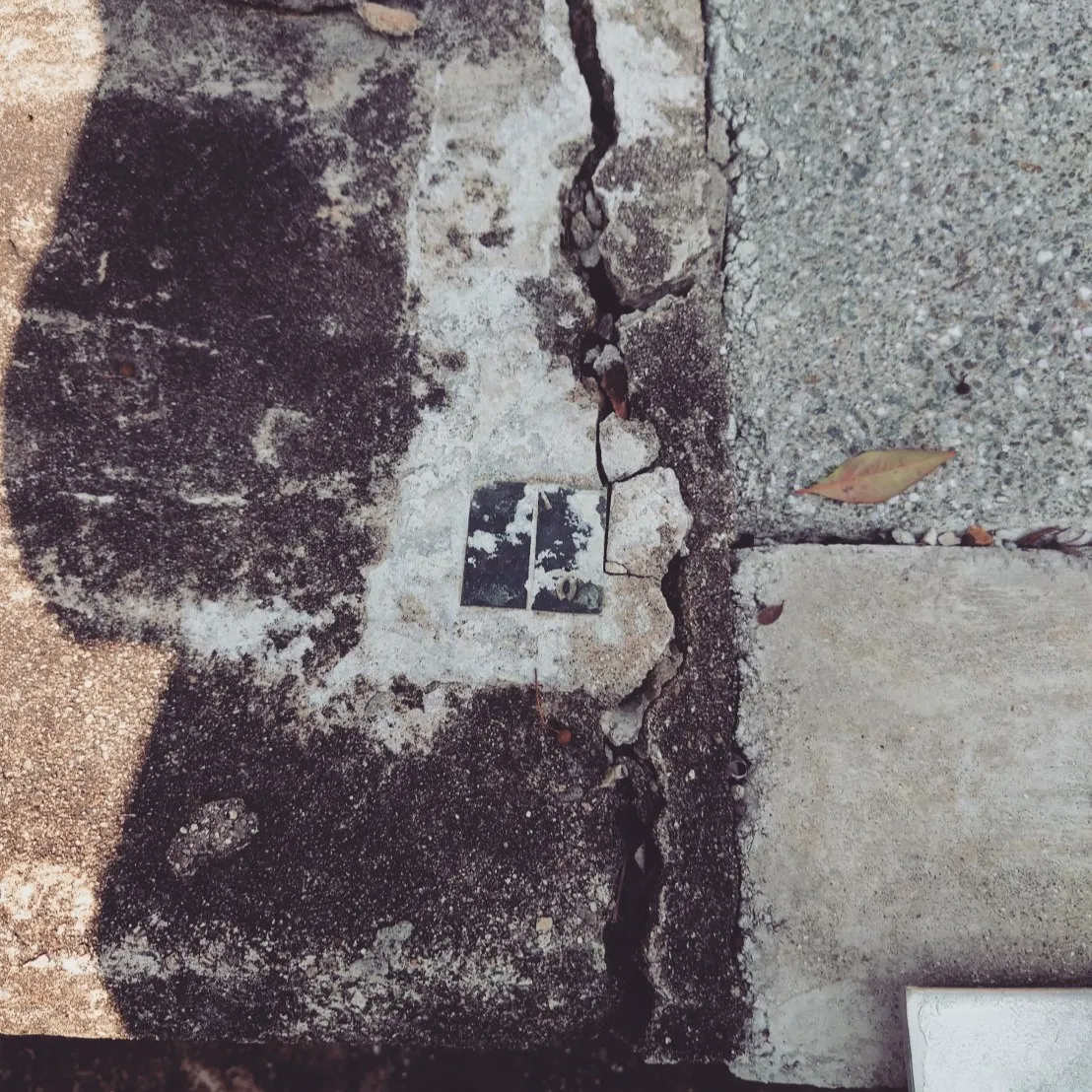 土地の価値を決めるためには、立地と面積が重要な要素です。